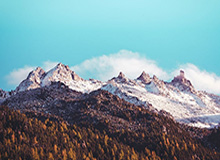 2026世界杯手机高清观看-乒超女团决赛山东再遇深圳 王曼昱：放下包袱去拼